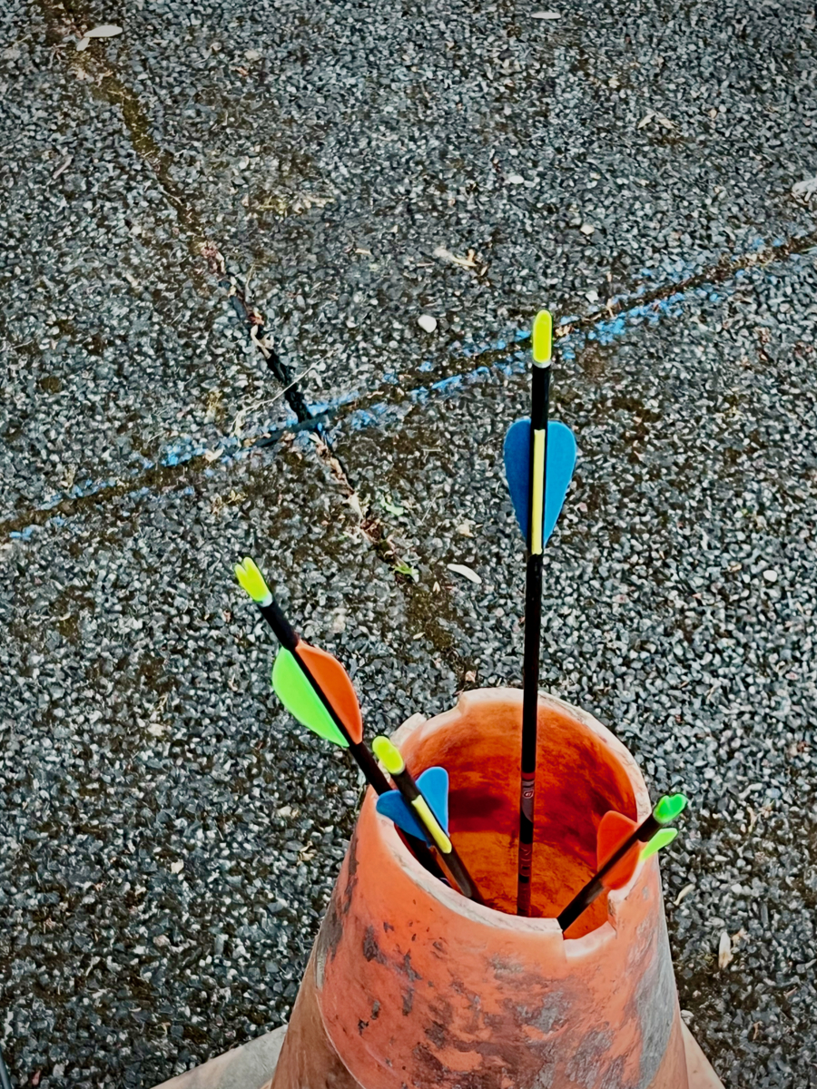 Run Archery 2026 : Action !